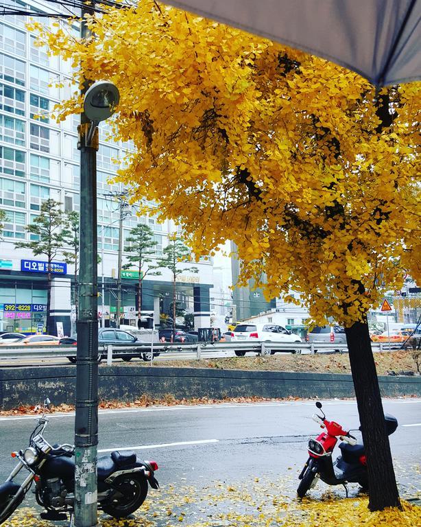 Feliz Guesthouse, Seoul Station Eksteriør billede